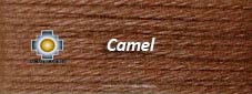 Camel Alpaca Color
