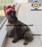 Alpaca Hat for Dogs PERU DOG - Product id: dog-clothing-11-01 Photo02