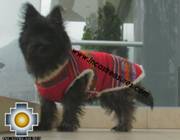 Dog Clothing Apparel Inka - Product id: dog-clothing-10-05 Photo04