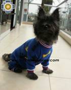 Dog Sleepwear Huesitos - Product id: dog-clothing-10-03 Photo03