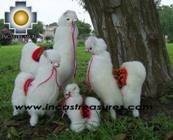 Alpaca Stuffed Animals llama Family - Product id: TOYS08-40 Photo08