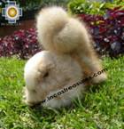 Alpaca Stuffed Animal Squirrel Nuez - Product id: TOYS08-57 Photo05