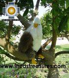 Beautiful Bald Eagle - YUKEN - Product id: TOYS08-21 Photo03