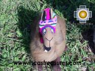 Happy brown llama - poncho - big - Product id: TOYS08-29 Photo01