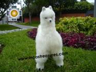 Alpaca Stuffed Animal Llama - Llamona - Product id: TOYS08-60 Photo03