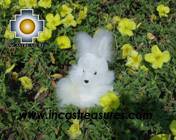 Cute White Rabbit - SPOUNGE - Product id: TOYS08-22 Photo02