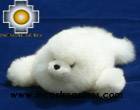 Adorable White Seal - Gotita , photo 01