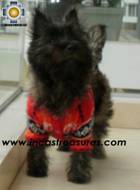 Dog Alpaca Sweater Sumaq - Product id: dog-clothing-10-04 Photo03