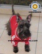 dog clothing jacket peru - Product id: dog-clothing-11-04 Photo03