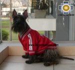 dog clothing jacket peru - Product id: dog-clothing-11-04 Photo01
