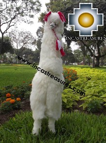 Alpaca Stuffed Llama Adam the Giant - Product id: TOYS13-04 Photo03