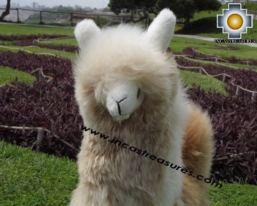 Alpaca Stuffed Llama - Suresh The Giant - Product id: TOYS12-07 Photo03