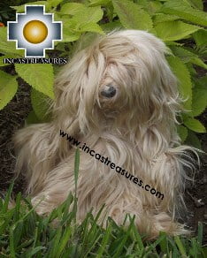 Adorable Teddy Bear -choko - Product id: TOYS13-06 Photo03