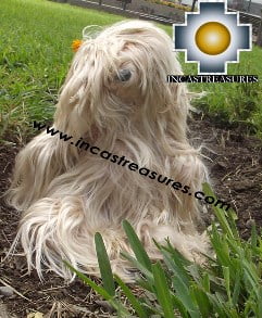 Adorable Teddy Bear -choko - Product id: TOYS13-06 Photo02