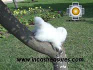 Cute Little White cat - PASCO - Product id: TOYS08-24 Photo03