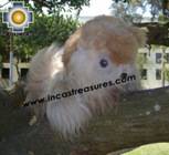 Adorable White Big cat - peludo THE CAT - Product id: TOYS08-23 Photo02
