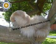 Adorable White Big cat - peludo THE CAT - Product id: TOYS08-23 Photo01