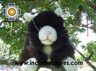 Cute Little Brown cat - pisco - Product id: TOYS08-26 Photo01