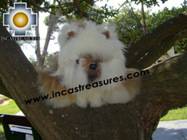 Adorable White Big cat - stuart THE CAT - Product id: TOYS08-23 Photo01