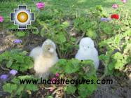 alpaca couple - paco and peco - Product id: TOYS08-34