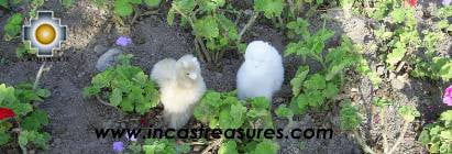alpaca couple - paco and peco - Product id: TOYS08-34