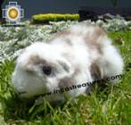 Adorable Stuffed Animal  - Fantastic Guinea Pig - Product id: TOYS08-54 Photo01