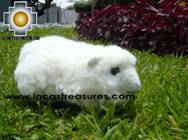 Adorable Stuffed Animal  - Fantastic Guinea Pig - Product id: TOYS08-54 Photo01