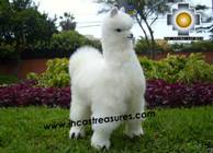 Alpaca Stuffed Animal Llama - Llamona - Product id: TOYS08-60 Photo04