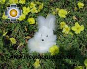 Cute White Rabbit - SPOUNGE - Product id: TOYS08-22 Photo04