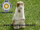 Baby Alpaca Little beauty Jiraffe - Raffo, so elegant , photo 03
