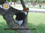 alpaca stuffed animal Plumitas , photo 01