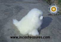 alpaca stuffed animal - Happy white wolf TITANIO Photo02