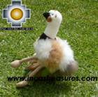 Cute and Elegant Ostrich - Puqui , photo 05