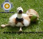 Cute and Elegant Ostrich - Puqui , photo 06