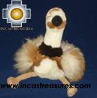 Cute and Elegant Ostrich - Puqui , photo 01