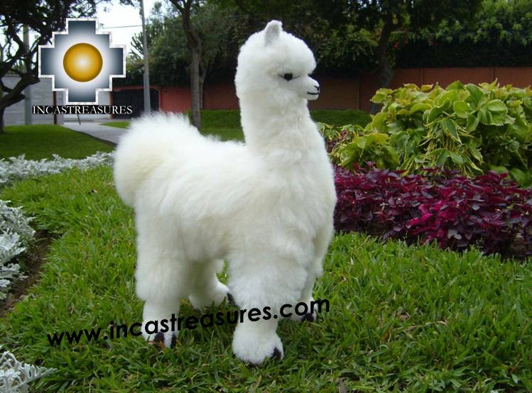 Alpaca Stuffed Animal Llama - Llamona - Product id: TOYS08-60 Photo01