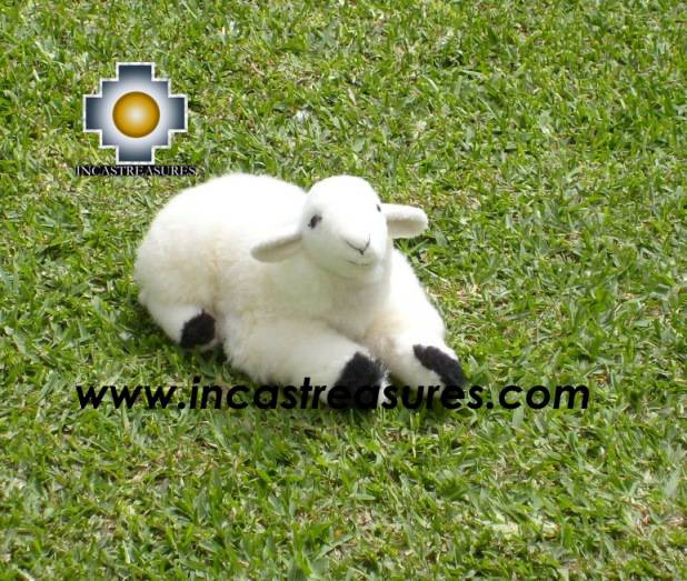 Baby Alpaca Cute Little Sheep - Dolly , photo 04